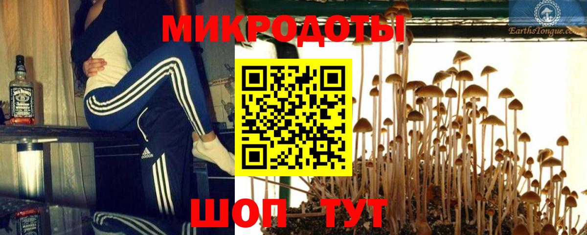 Галлюциногенные грибы ЛСД  купить наркотики цена  Малоярославец  Псилоцибиновые грибы ЛСД  Вход с VPN 