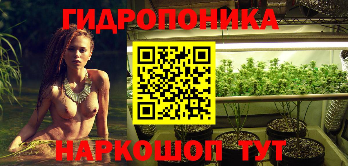 Конопля планчик Малоярославец